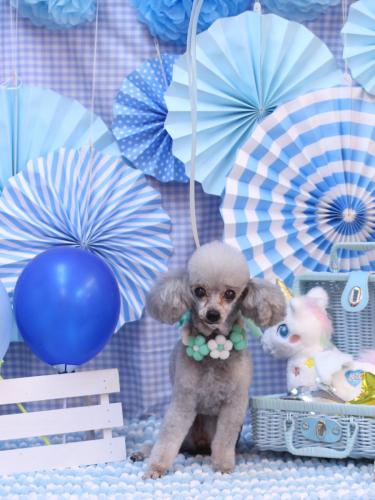 20231108サージュちゃん